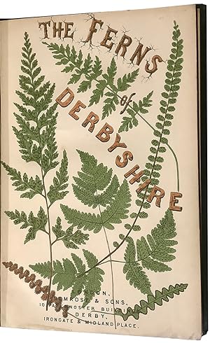 The Ferns of Derbyshire, illustrated from Nature