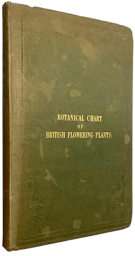 The Botanical Chart of British Flowering Plants and Ferns: shewing at one view their chief charac...
