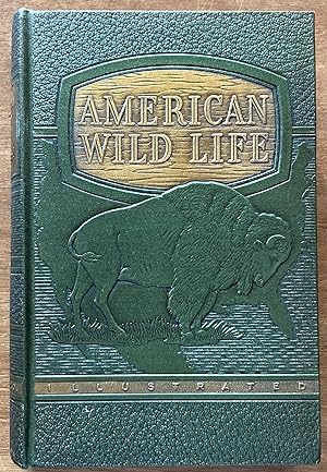 Seller image for American Wild Life Illustrated for sale by Molly's Brook Books