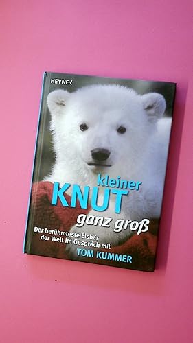 KLEINER KNUT GANZ GROSS. der berühmteste Eisbär der Welt im Gespräch mit Tom Kummer