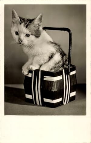 Ansichtskarte / Postkarte Kleine Katze in einem Korb - Amag 69765