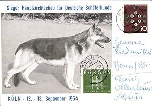 Ansichtskarte / Postkarte Köln, Hauptzuchtschau für Deutsche Schäferhunde 1964, Sieger