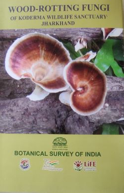 Seller image for Wood-Rotting Fungi of Koderma Wildlife Sanctuary, Jharkhand for sale by Vedams eBooks (P) Ltd