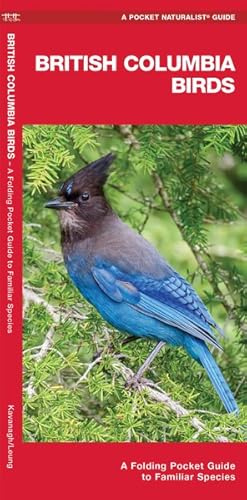 Imagen del vendedor de British Columbia Birds : A Folding Pocket Guide to Familiar Species a la venta por GreatBookPrices