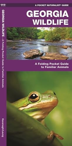 Seller image for Georgia Wildlife : An Introduction to Familiar Species for sale by GreatBookPricesUK