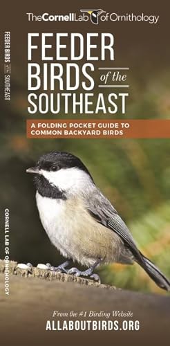Seller image for Feeder Birds of the Southeast : A Folding Pocket Guide to Common Backyard Birds for sale by GreatBookPrices