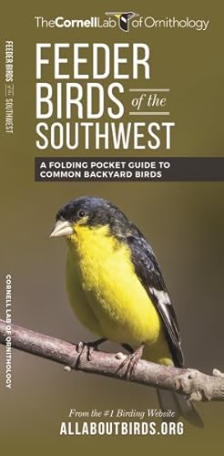 Seller image for Feeder Birds of the Southwest : A Folding Pocket Guide to Common Backyard Birds for sale by GreatBookPrices