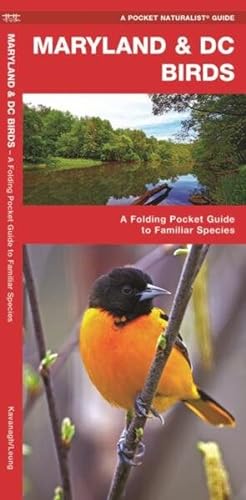 Seller image for Maryland & Dc Birds : A Folding Pocket Guide to Familiar Species for sale by GreatBookPrices