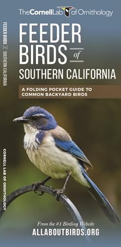 Seller image for Feeder Birds of Southern California : A Folding Pocket Guide to Common Backyard Birds for sale by GreatBookPrices