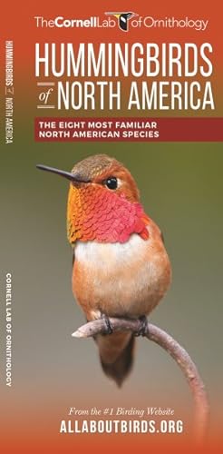 Seller image for Hummingbirds of North America : The Eight Most Familiar North American Species for sale by GreatBookPrices