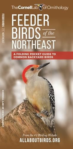 Seller image for Feeder Birds of the Northeast : A Folding Pocket Guide to Common Backyard Birds for sale by GreatBookPrices