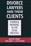 Seller image for Divorce Lawyers and Their Clients : Power and Meaning in the Legal Process for sale by GreatBookPricesUK