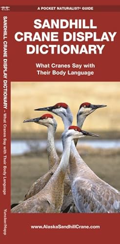 Seller image for Sandhill Crane Display Dictionary : What Cranes Say With Their Body Language for sale by GreatBookPrices