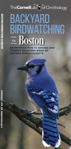 Seller image for Backyard Birdwatching in Boston : An Introduction to Birding and Common Backyard Birds of Eastern Massachusetts for sale by GreatBookPrices