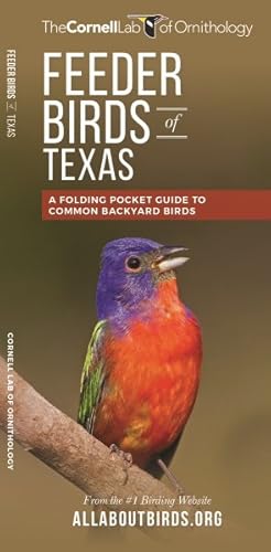 Seller image for Feeder Birds of Texas : A Folding Pocket Guide to Common Backyard Birds for sale by GreatBookPrices