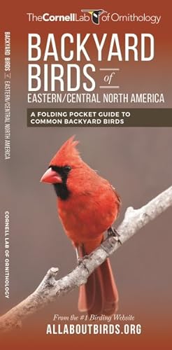 Immagine del venditore per Backyard Birds of Eastern/Central North America : A Folding Pocket Guide to Common Backyard Birds venduto da GreatBookPrices
