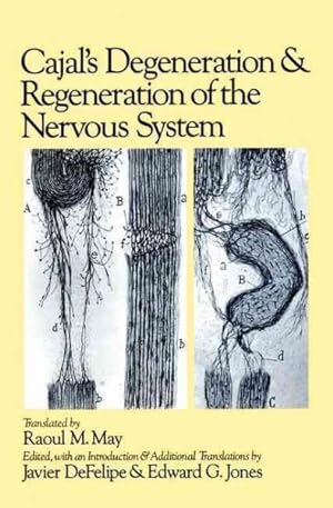 Image du vendeur pour Cajal's Degeneration and Regeneration of the Nervous System mis en vente par GreatBookPricesUK