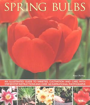 Seller image for Spring Bulbs : An Illustrated Guide to Varieties, Cultivation and Care, With Step-by-Step Instructions and Over 160 Inspirational Photographs for sale by GreatBookPrices