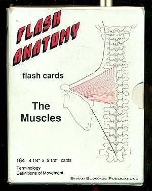 Seller image for The Muscles (Flash Anatomy) for sale by Don's Book Store