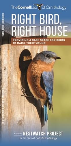 Seller image for Right Bird, Right House : Providing a Safe Space for Birds to Raise Their Young for sale by GreatBookPrices