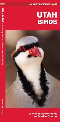 Seller image for Utah Birds : A Folding Pocket Guide to Familiar Species for sale by GreatBookPricesUK