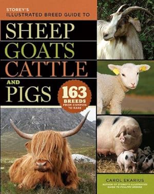 Bild des Verkufers fr Storey's Illustrated Breed Guide to Sheep, Goats, Cattle and Pigs (Storeys Illustrated Breed Gde): 163 Breeds from Common to Rare zum Verkauf von WeBuyBooks