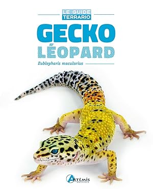 Gecko léopard: Eublepharis macularius