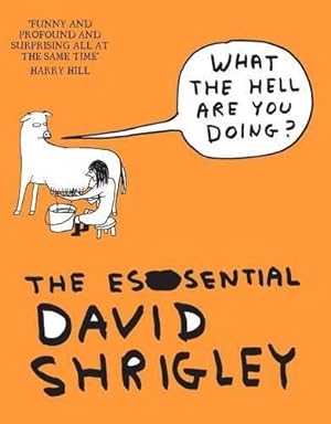Bild des Verkufers fr What The Hell Are You Doing?: The Essential David Shrigley zum Verkauf von WeBuyBooks