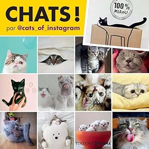 Imagen del vendedor de Chats d'Instagram: 100 % miaou a la venta por Dmons et Merveilles