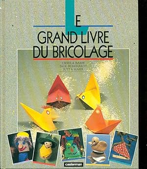Imagen del vendedor de Grand livre du bricolage t1 (Le): Le Grand livre du bricolage a la venta por Dmons et Merveilles