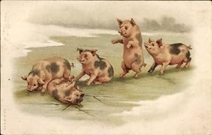 Litho Spielende Schweine, Tiere