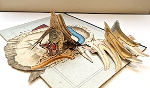 Anatomie iconoclastique. Atlas complémentaire de tous les ouvrages traitant de l'anatomie et de l...