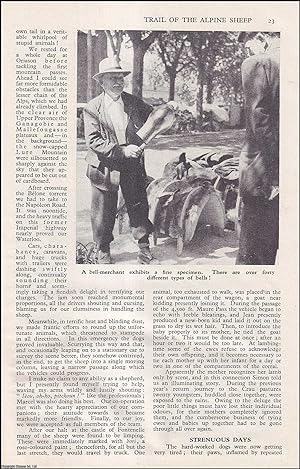 Bild des Verkufers fr Trail of the Alpine Sheep. By Maurice Moyal. An uncommon original article from the Wide World Magazine, 1952. zum Verkauf von Cosmo Books