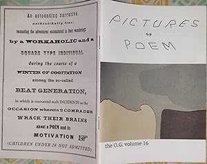 Pictures Poem. the O.G. volume 16 "To Be Other-Wise" (booklet by Amy Sillman & John Hulsey)