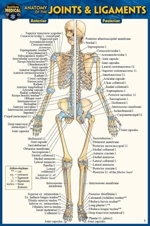 Seller image for Anatomy of the Joints & Ligaments for sale by GreatBookPrices