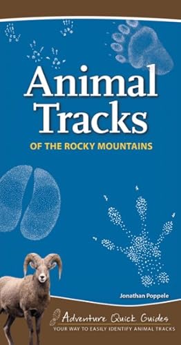 Seller image for Animal Tracks of the Rocky Mountains for sale by GreatBookPrices