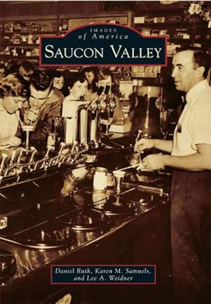 Immagine del venditore per Saucon Valley venduto da GreatBookPrices