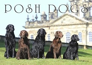 Image du vendeur pour Posh Dogs mis en vente par GreatBookPrices