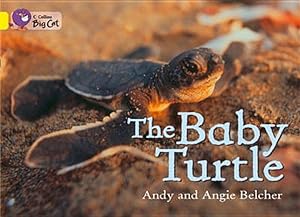 Seller image for Baby Turtle for sale by GreatBookPrices