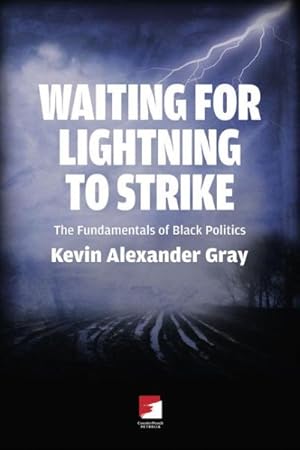 Seller image for Waiting for Lightning to Strike : The Fundamentals of Black Politics for sale by GreatBookPrices