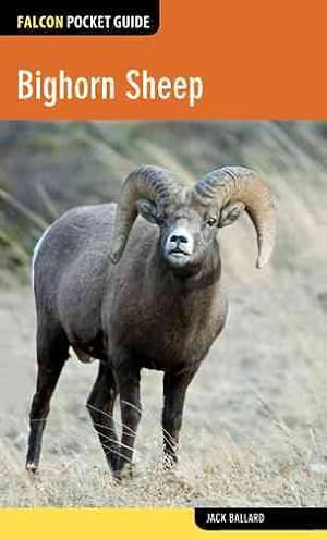 Imagen del vendedor de Bighorn Sheep a la venta por GreatBookPrices