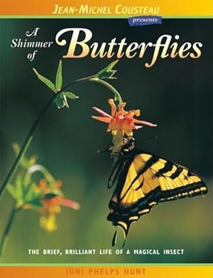 Seller image for Shimmer Of Butterflies : The Brief, Brilliant Life of a Magical Insect for sale by GreatBookPrices