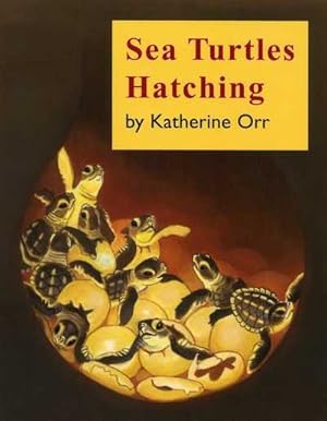 Image du vendeur pour Sea Turtles Hatching mis en vente par GreatBookPrices
