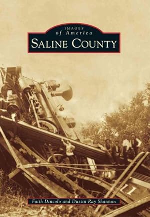 Seller image for Saline County for sale by GreatBookPrices