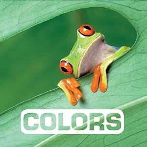 Imagen del vendedor de Colors a la venta por GreatBookPrices