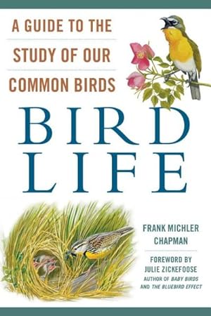 Imagen del vendedor de Bird Life : A Guide to the Study of Our Common Birds a la venta por GreatBookPrices