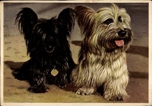 Ansichtskarte / Postkarte Zwei Terrier, Halsband, Tierportrait