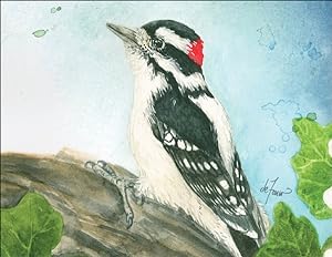Seller image for Backyard Birds Notecard Assortment for sale by GreatBookPrices