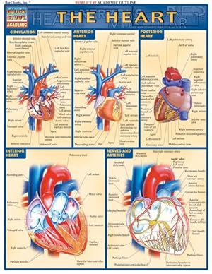 Seller image for Heart for sale by GreatBookPrices