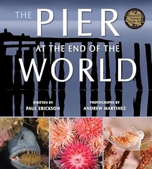 Bild des Verkufers fr Pier at the End of the World zum Verkauf von GreatBookPrices